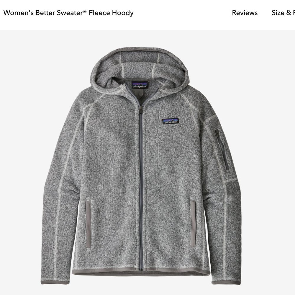 Patagonia Better Sweater Fleece Hoody